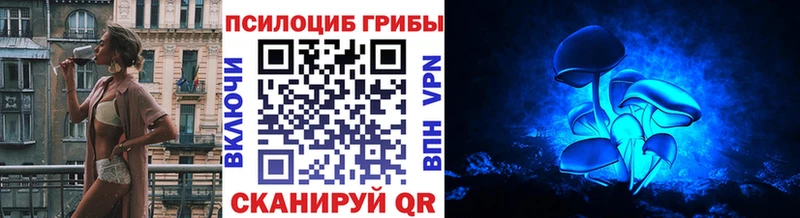 Псилоцибиновые грибы прущие грибы  Нефтекумск 